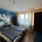 Oceania Проживание в семье